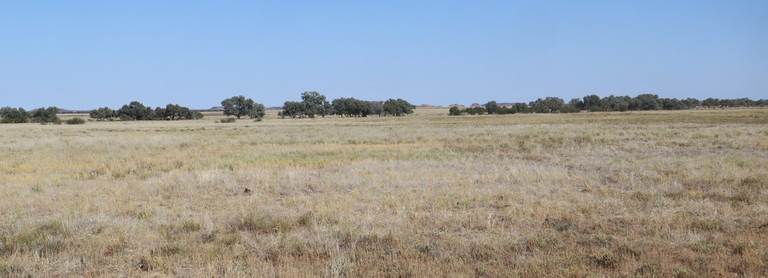 Flodden Hills, Windorah QLD 4481