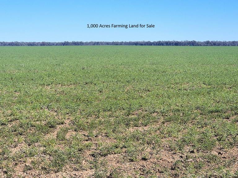 5358 Mercadool Road, Collarenebri NSW 2833