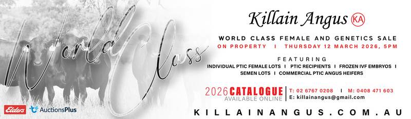 Killain Angus Female and Genetics Sale (Second Edition)