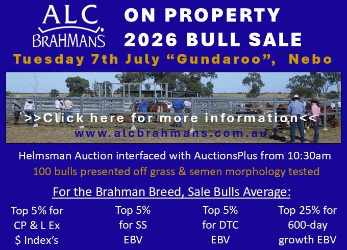 ALC On-Property 2026 Bull Sale