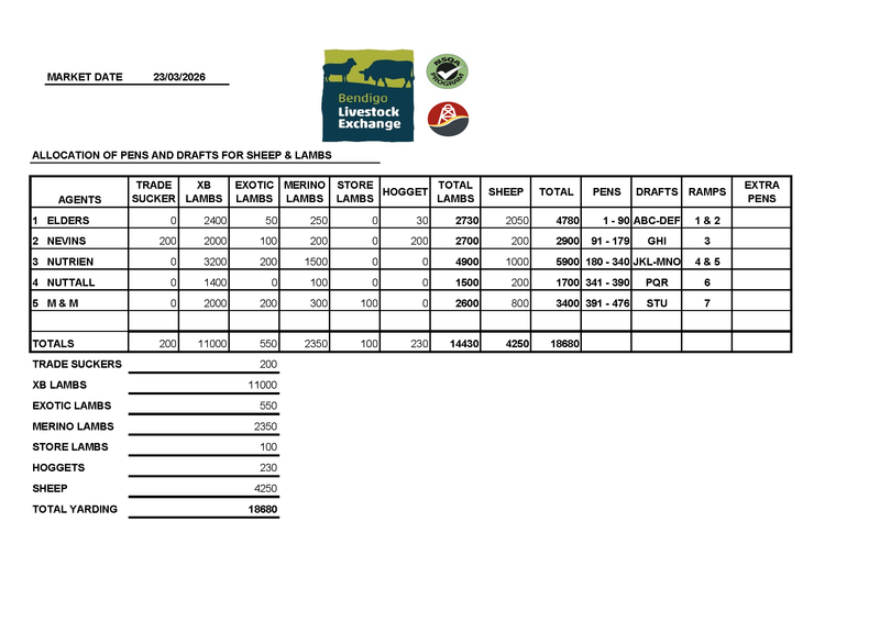 Bendigo Livestock Exchange – 18680 Head Sheep & Lamb Sale | 23 March 2026