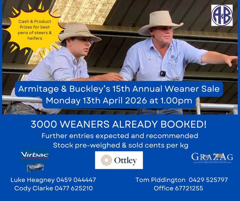 Armitage & Buckley 15th Annual Weaner Sale — 4,000 Head New England Weaners