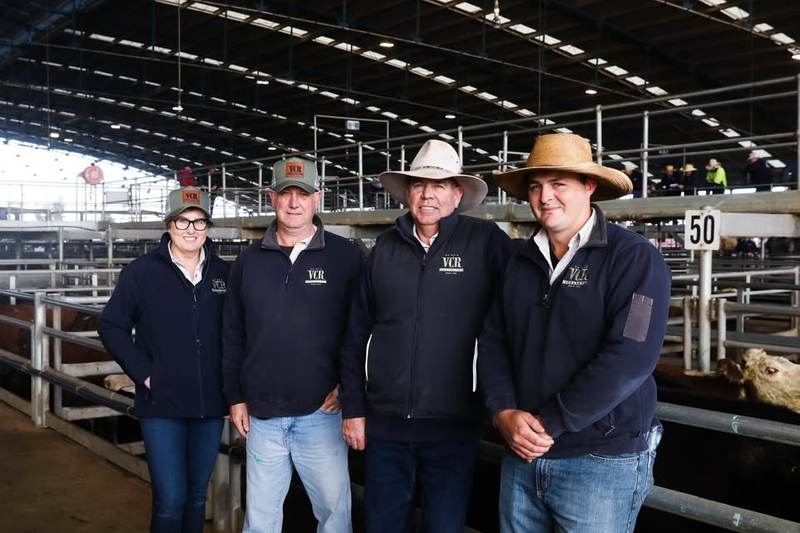 VC Reid Smith Livestock Forbes Stud Pig Sale & Youth Show — Stud Boars & Gilts