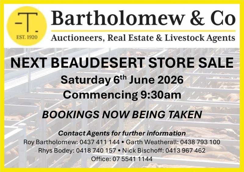 Beaudesert Store Sale Cattle 