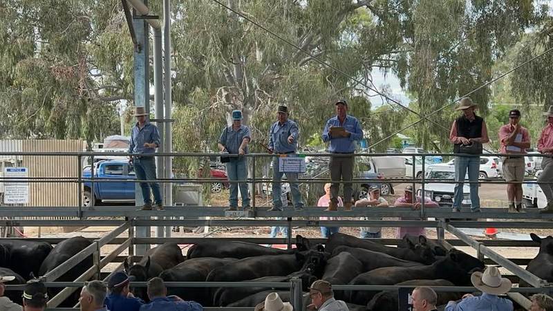 North East Store Sale Centre Euroa Store Sale