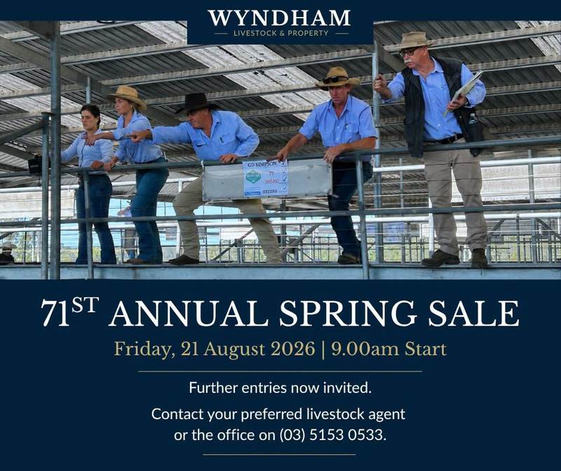 Bill Wyndham & Co Annual Opening Spring Store Cattle Sale – 2,500 Head Cattle