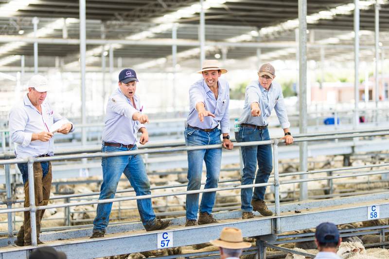 WVLX Mortlake August Store Sale – 2,500 Head Cattle