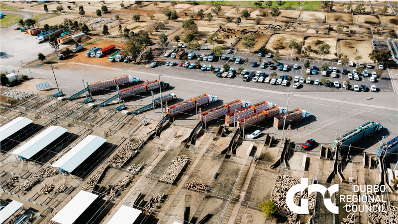 Dubbo Stock & Station Agents Store Cattle Sale – 2,000 Head Cattle
