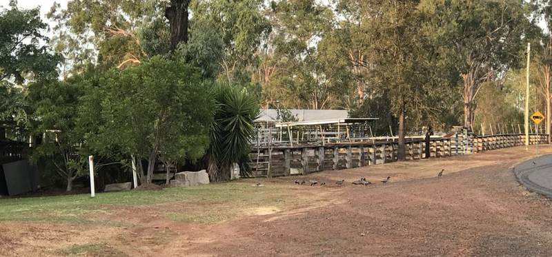 Eidsvold Livestock & Property Prime & Store Sale