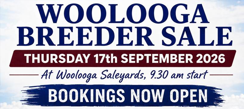 WOOLOOGA FEMALE BREEDER SALE - THURSDAY 17th SEPTEMBER 2026