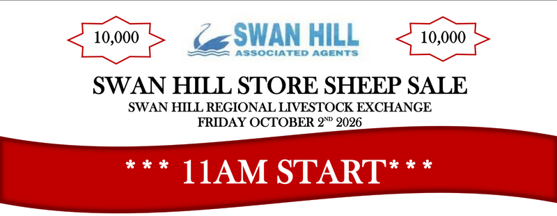 Swan Hill Store Sheep Sale - 10,000 Head