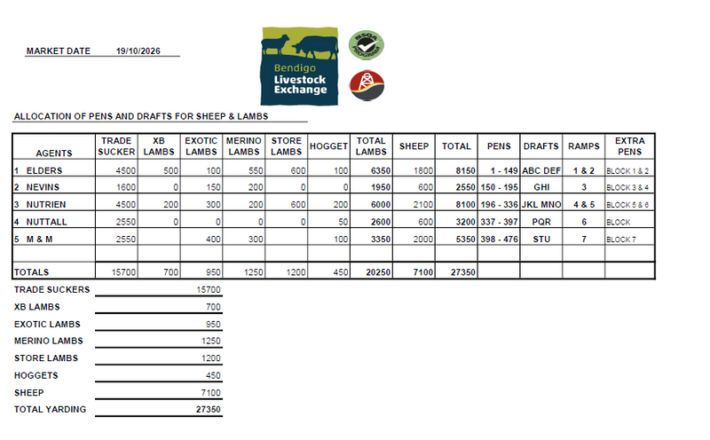Bendigo Livestock Exchange Weekly Sale - 27,350 Head Sheep & Lambs
